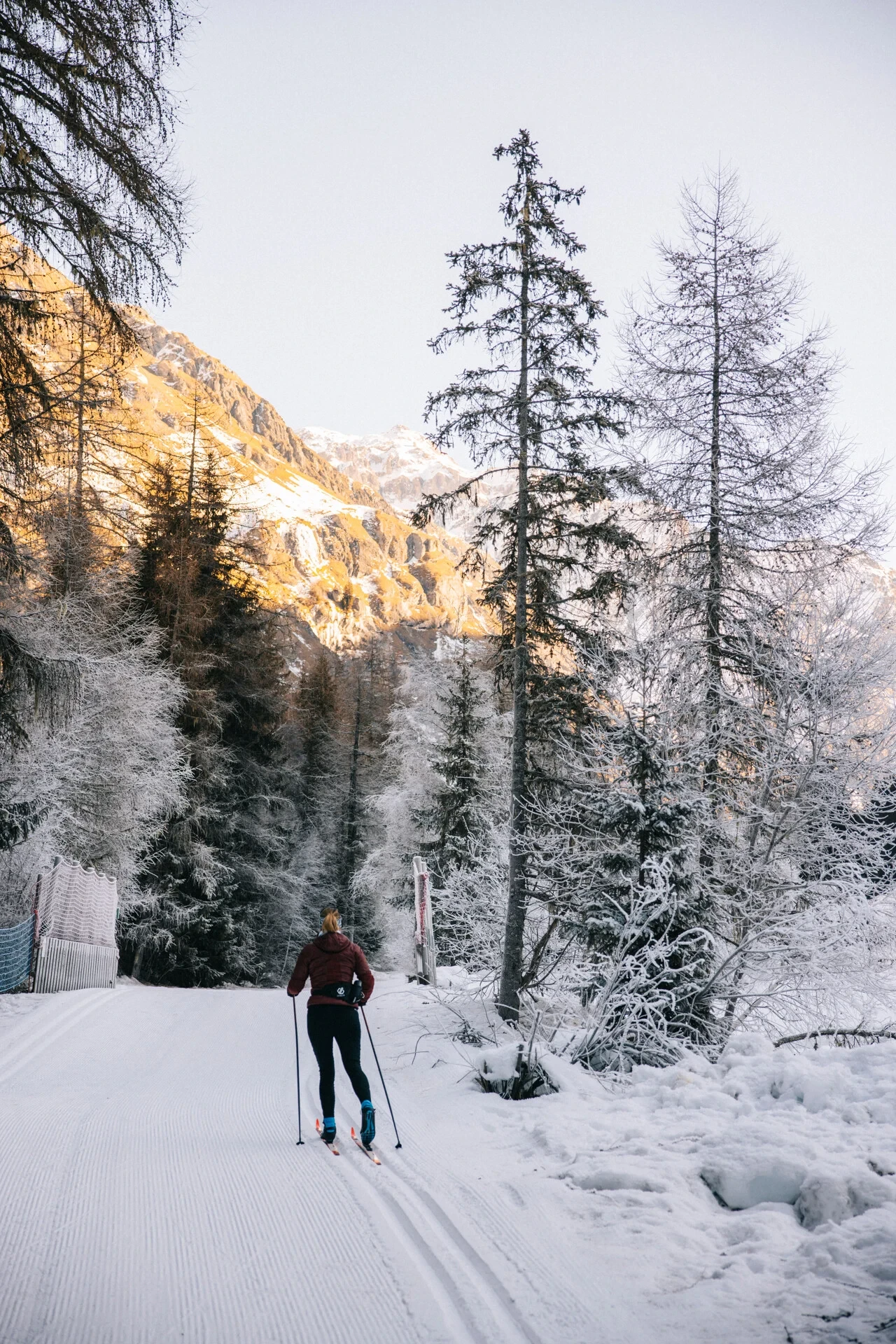 Ski de fond sur un chemin enneigé en montagne.
